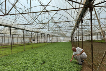 ASAN TARIM DAMLA SULAMA PROJESİYLE FARK YARATTI