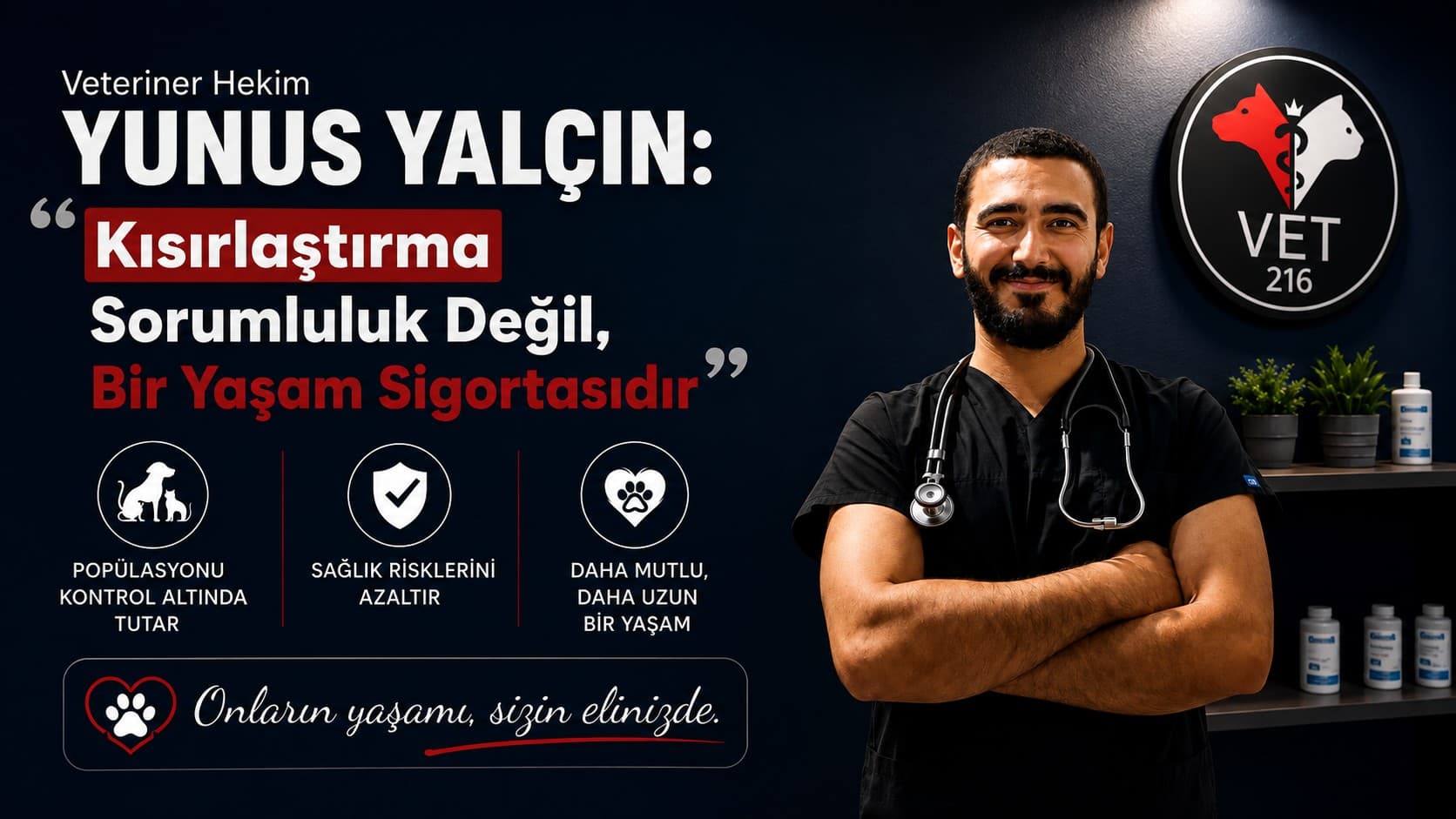 Kısırlaştırma Operasyonu Hakkında Her Şey: Dostunuzun Ömrünü Nasıl Uzatırız?